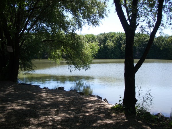 nachytano.cz